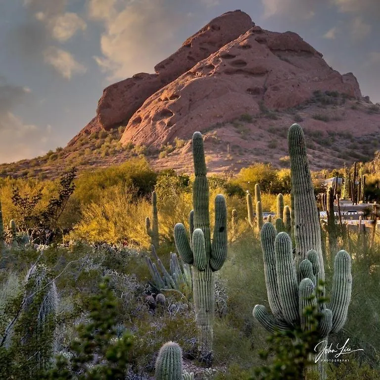 Charming Zen Home With Heated Pool, Pool Table, Arcade And Mini Golf. Scottsdale Nyaraló